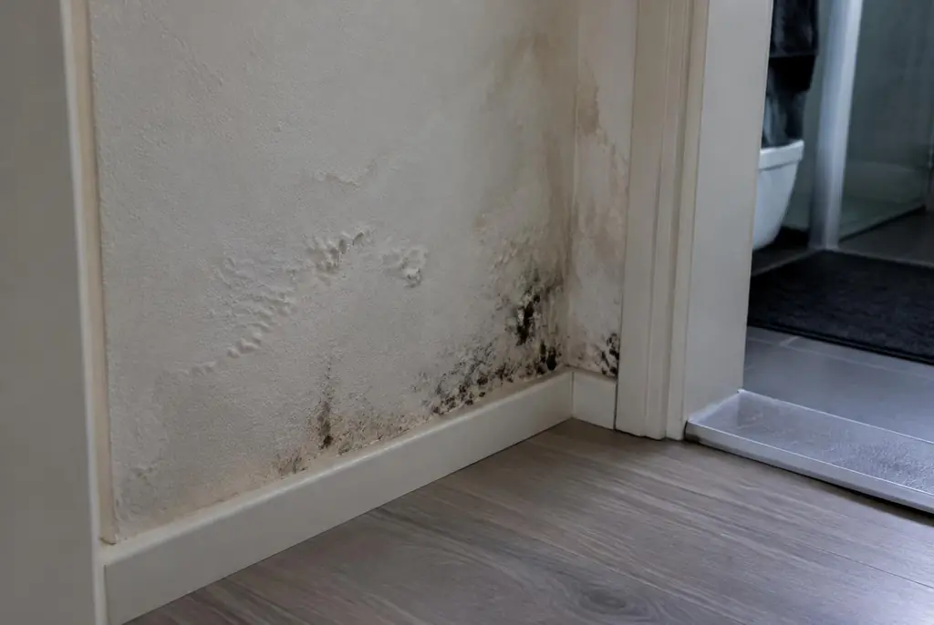 Lekdetectie Kockengen – vochtplek met schimmel op een muur
